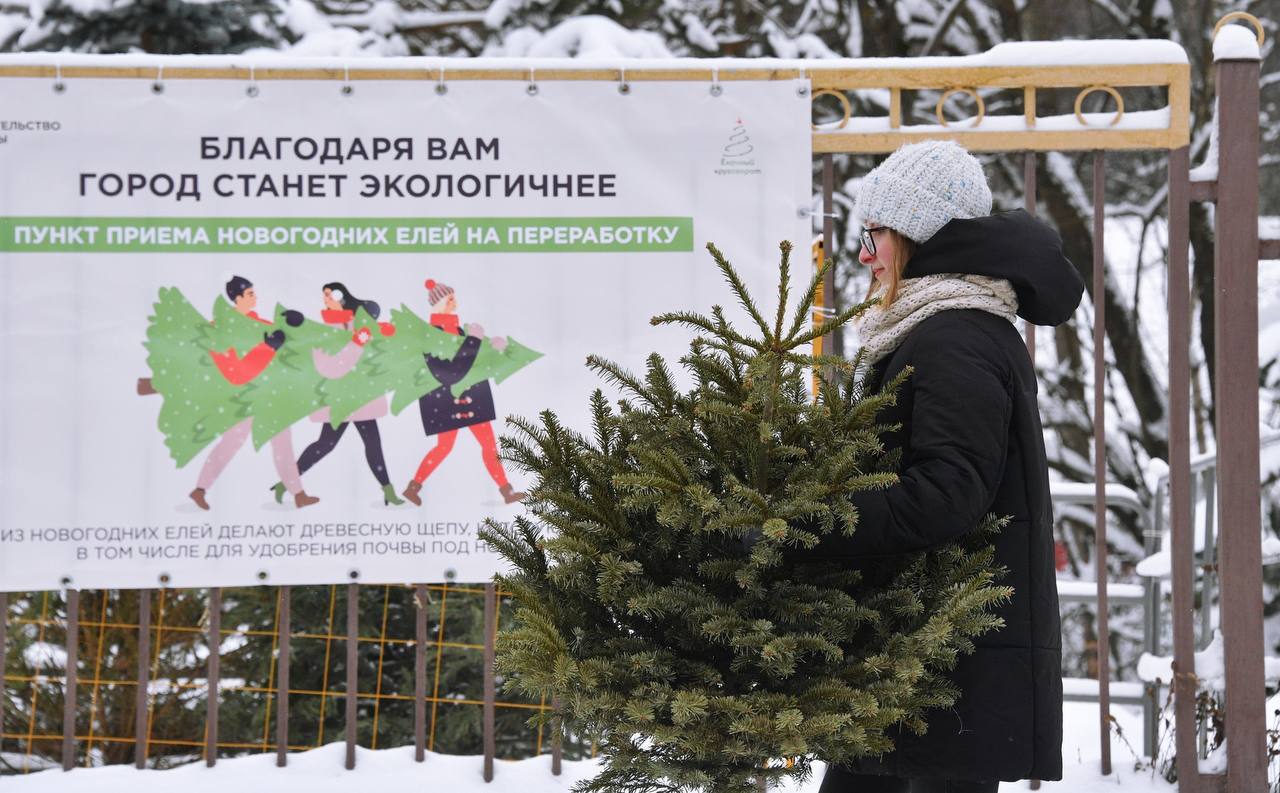 Юлия/январь 2024/IMG_20240108_194855_672.jpg